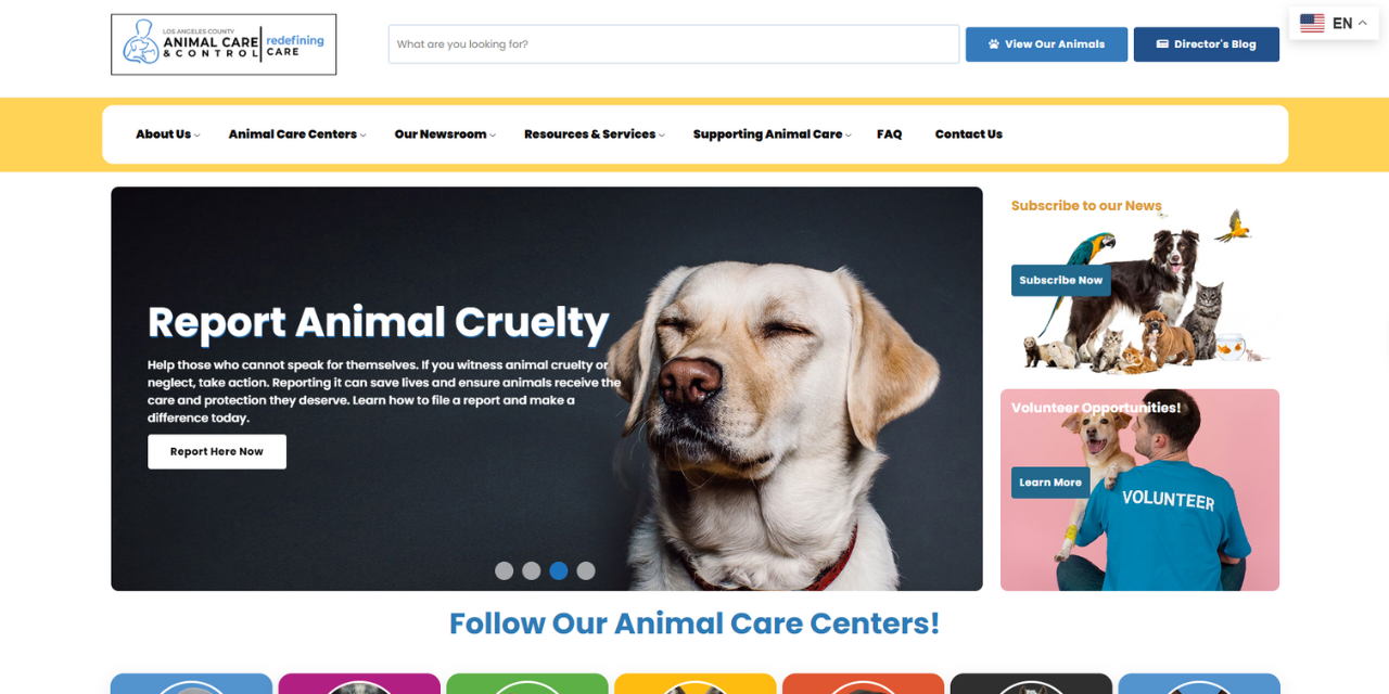 Website examples by UENI