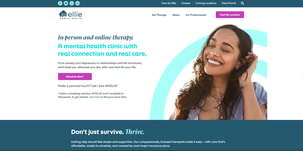 Website examples by UENI