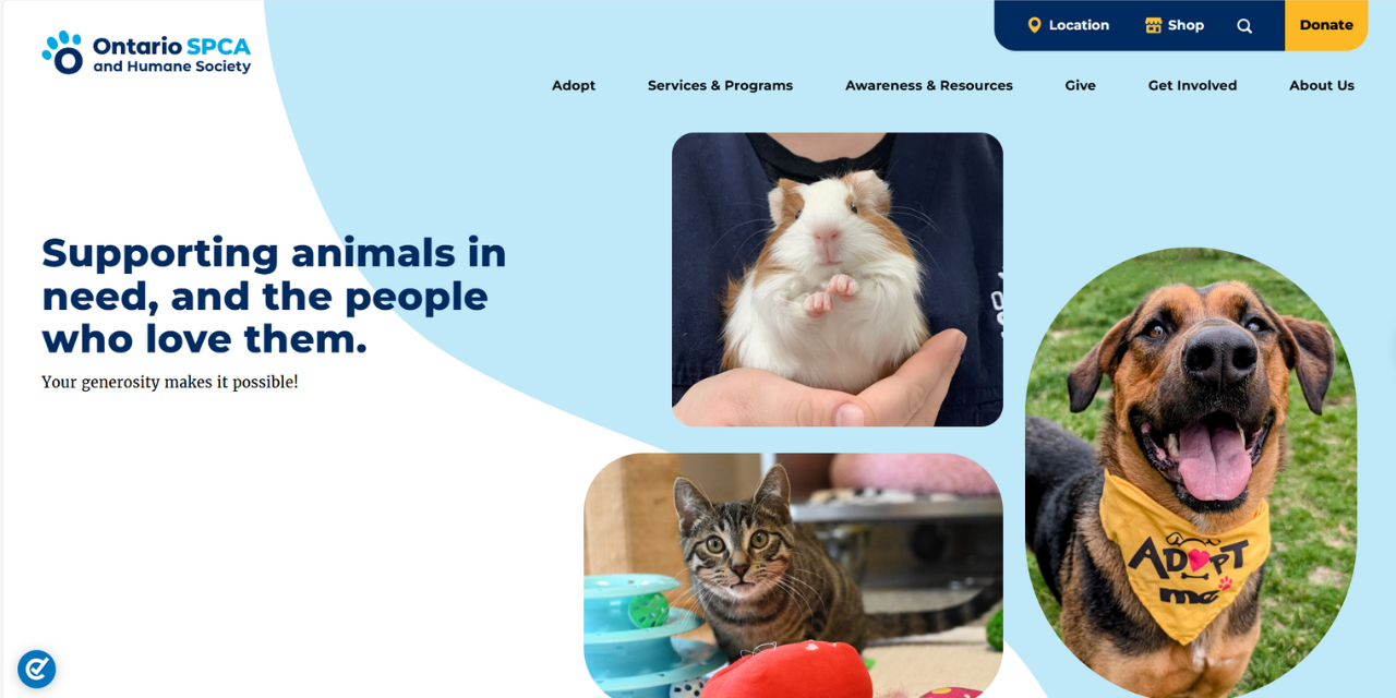 Website examples by UENI